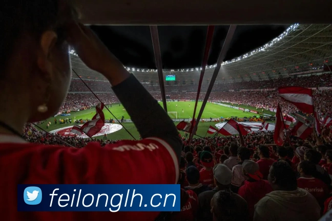 多媒体互动体验