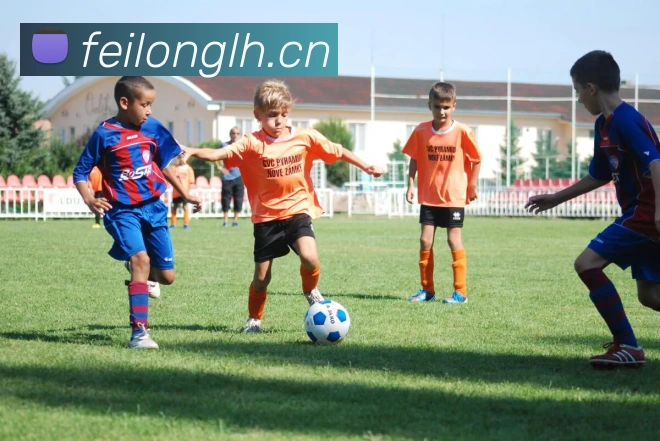 开云kaiyun网站APP 体育赛事宣传图